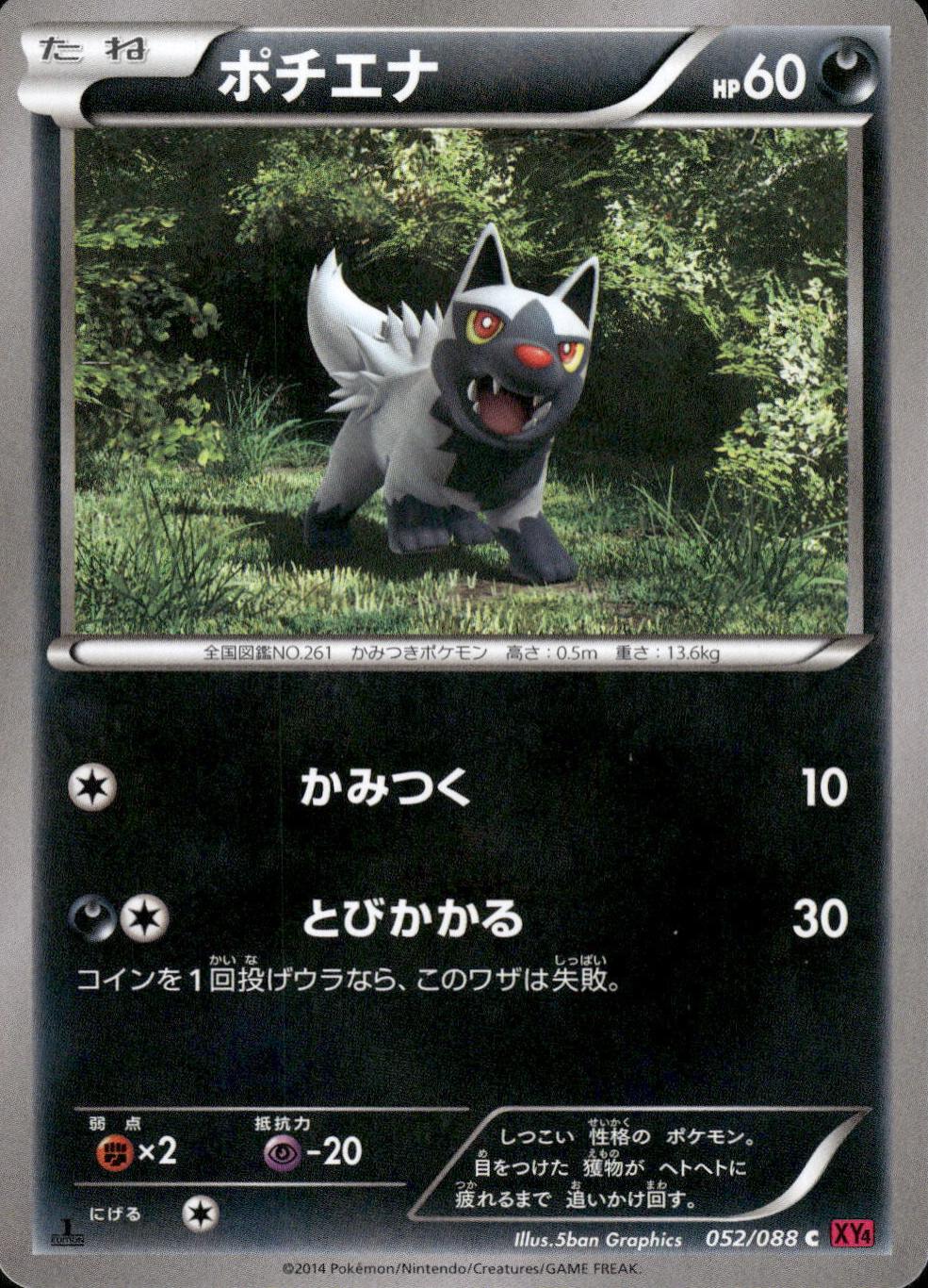 Poochyena